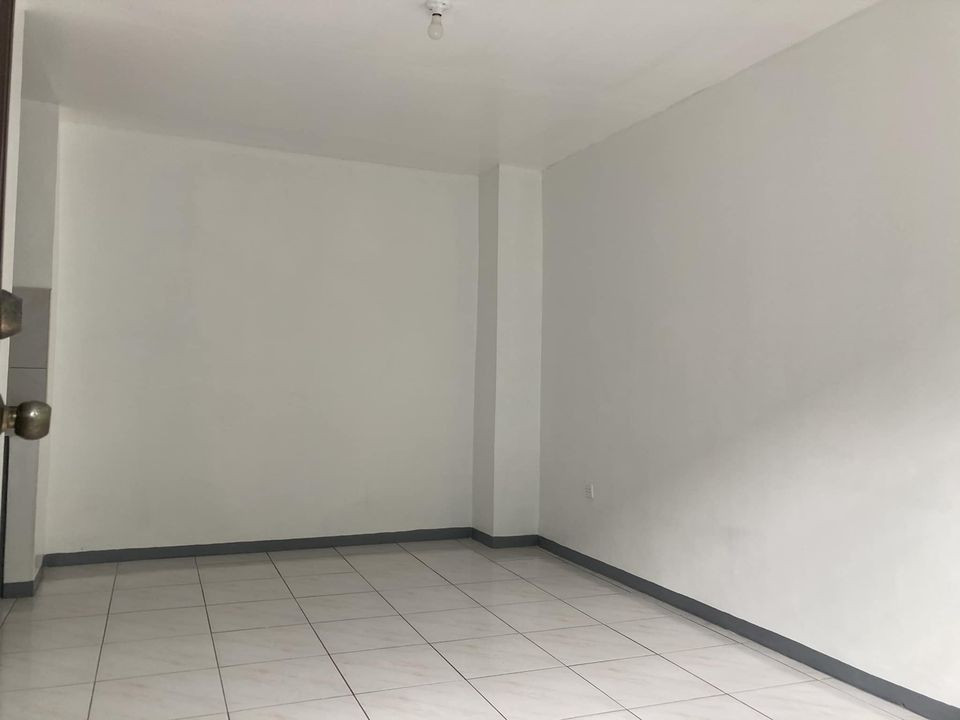 Gallery 4