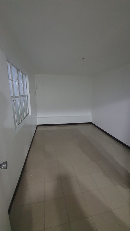 Gallery 5