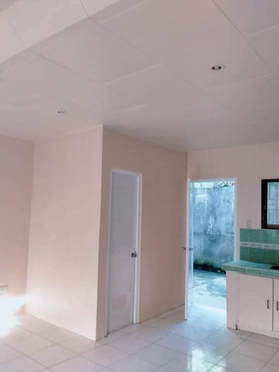 Gallery 5