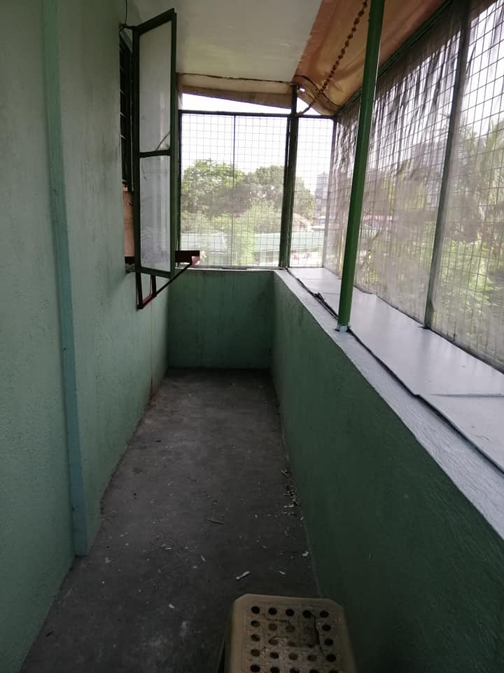 Gallery 5