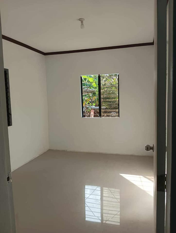 Gallery 5