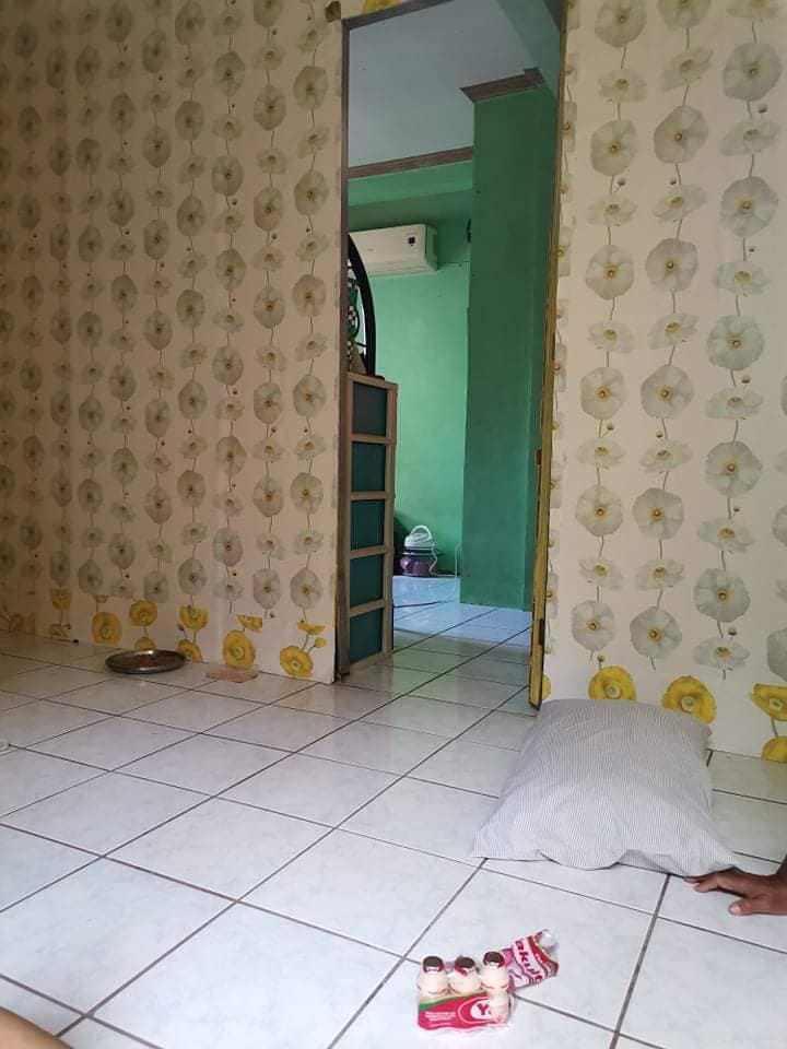 Gallery 3