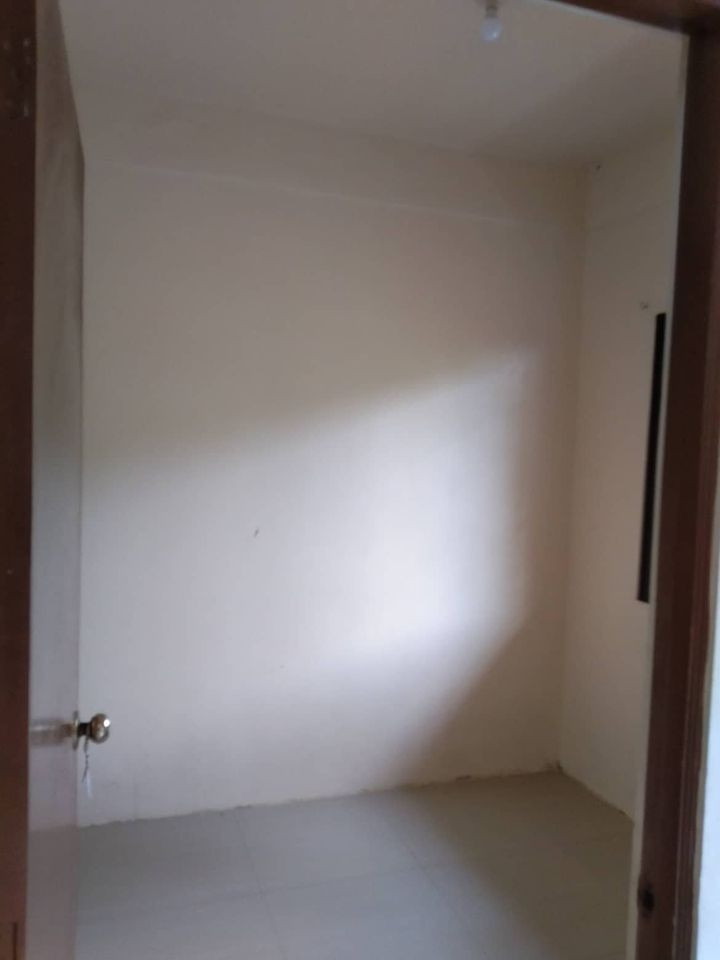 Gallery 5
