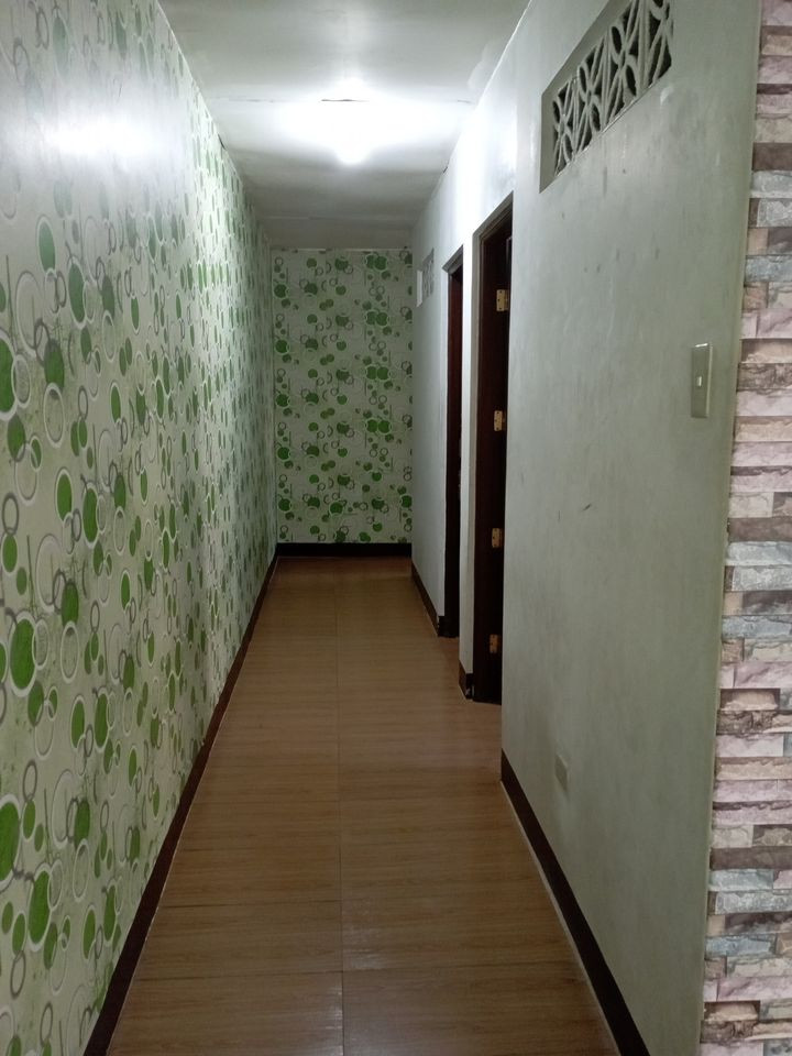 Gallery 3