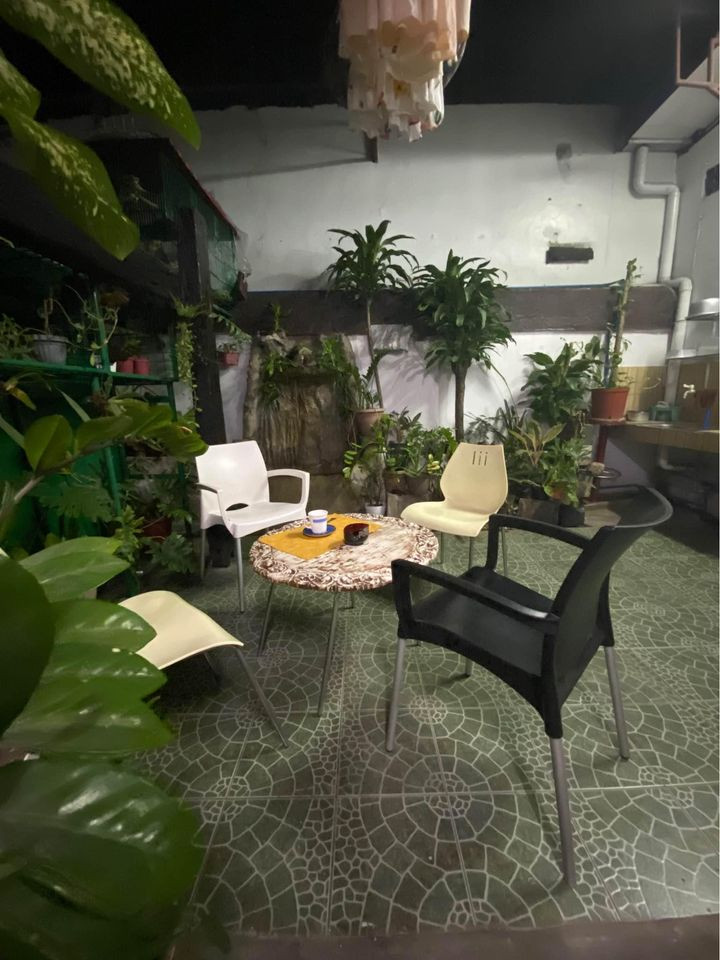 Gallery 3