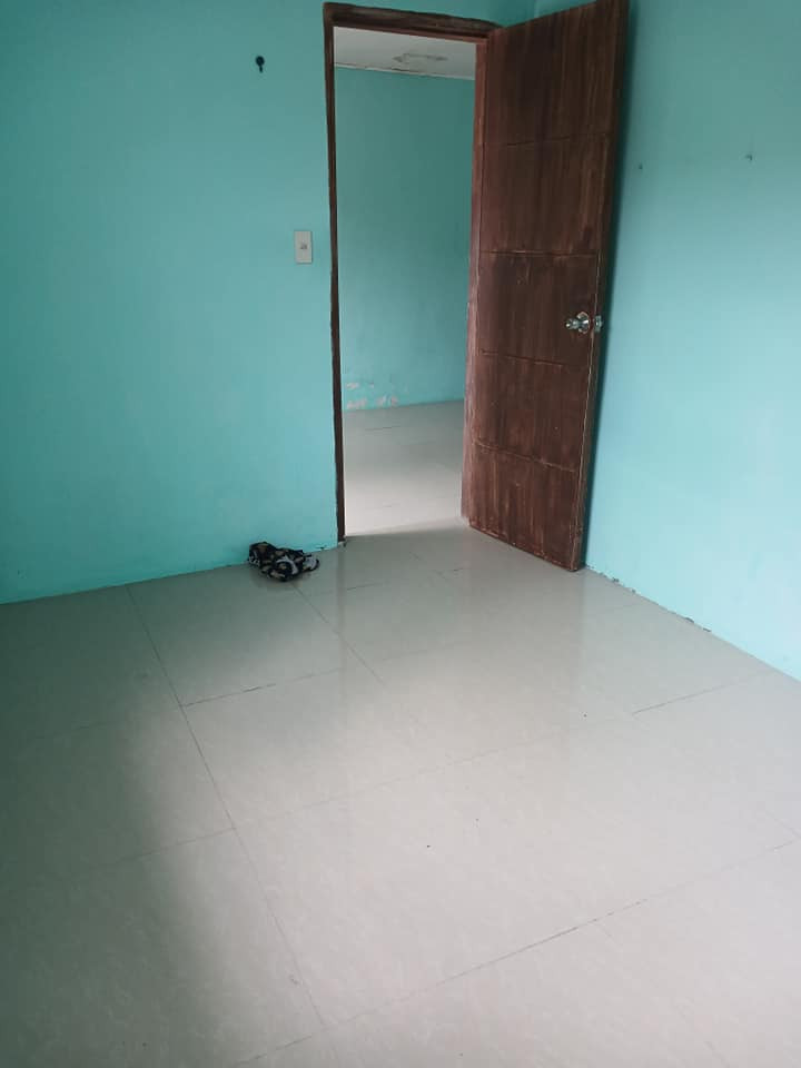 Gallery 5