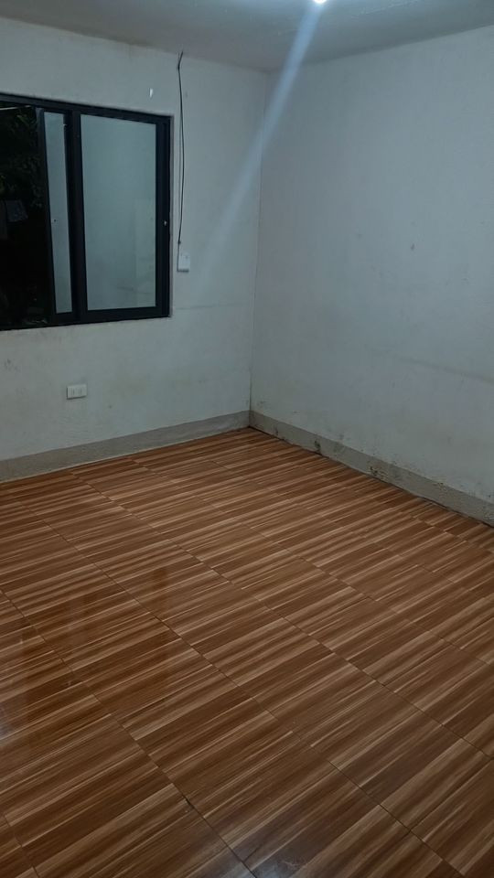 Gallery 2