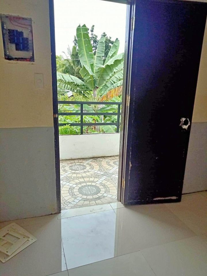 Gallery 2