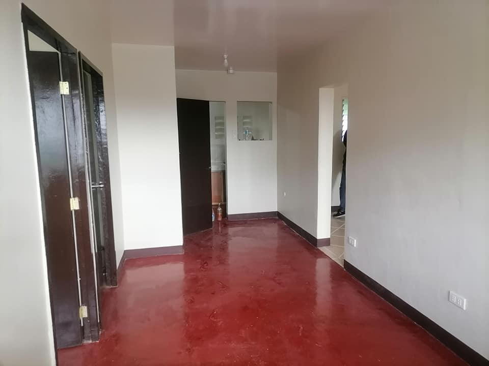 Gallery 2