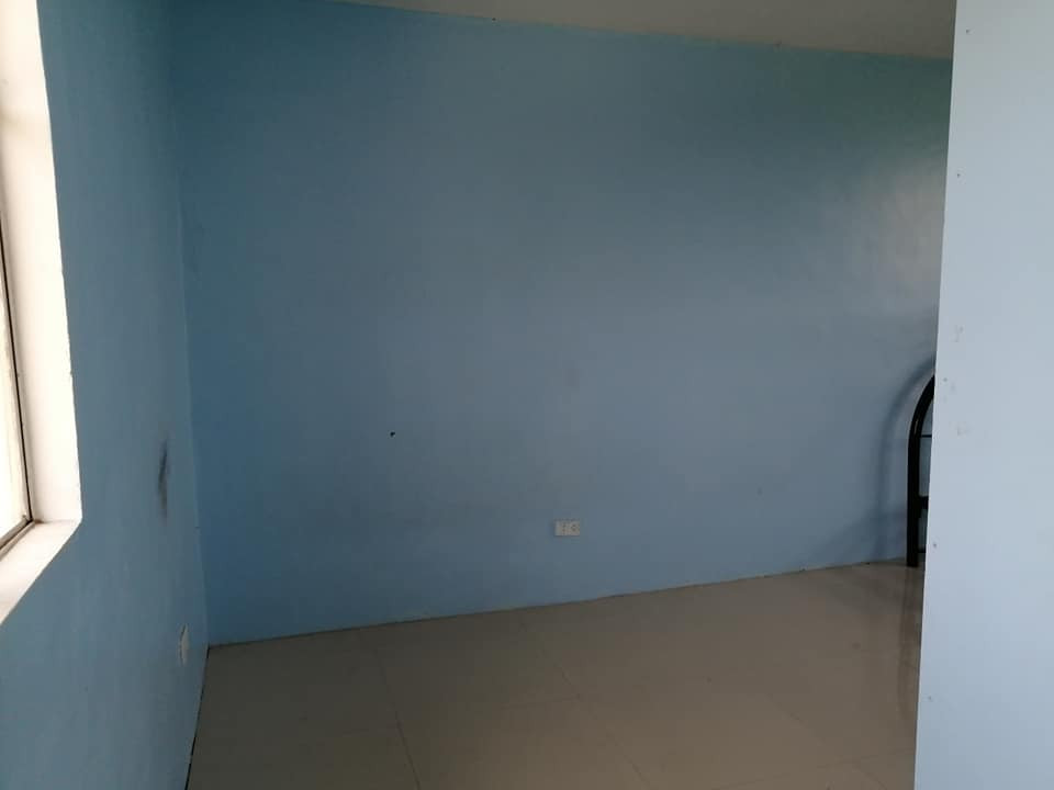 Gallery 5