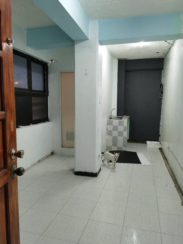 Gallery 2