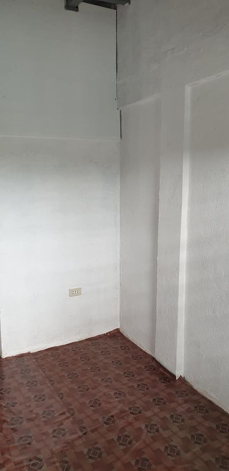 Gallery 3