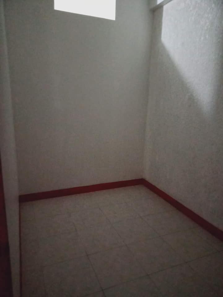 Gallery 5
