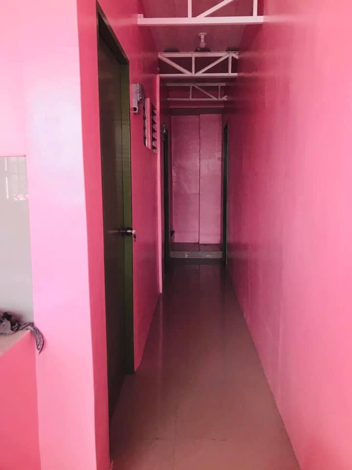 Gallery 3