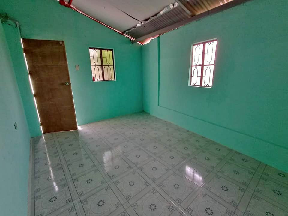 Gallery 5