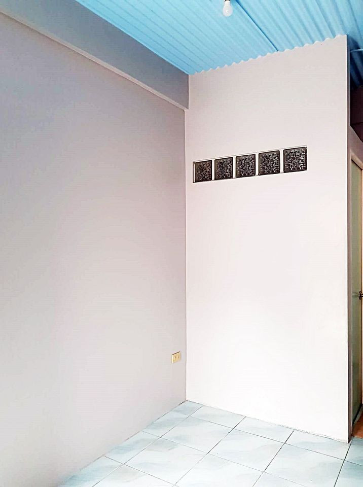 Gallery 5