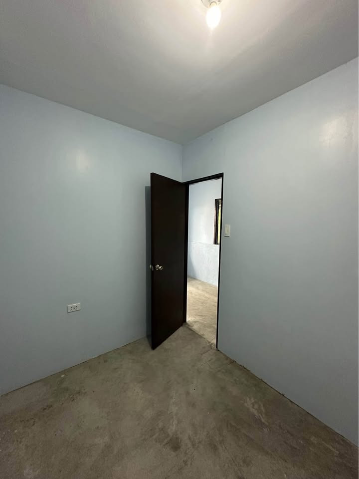 Gallery 5