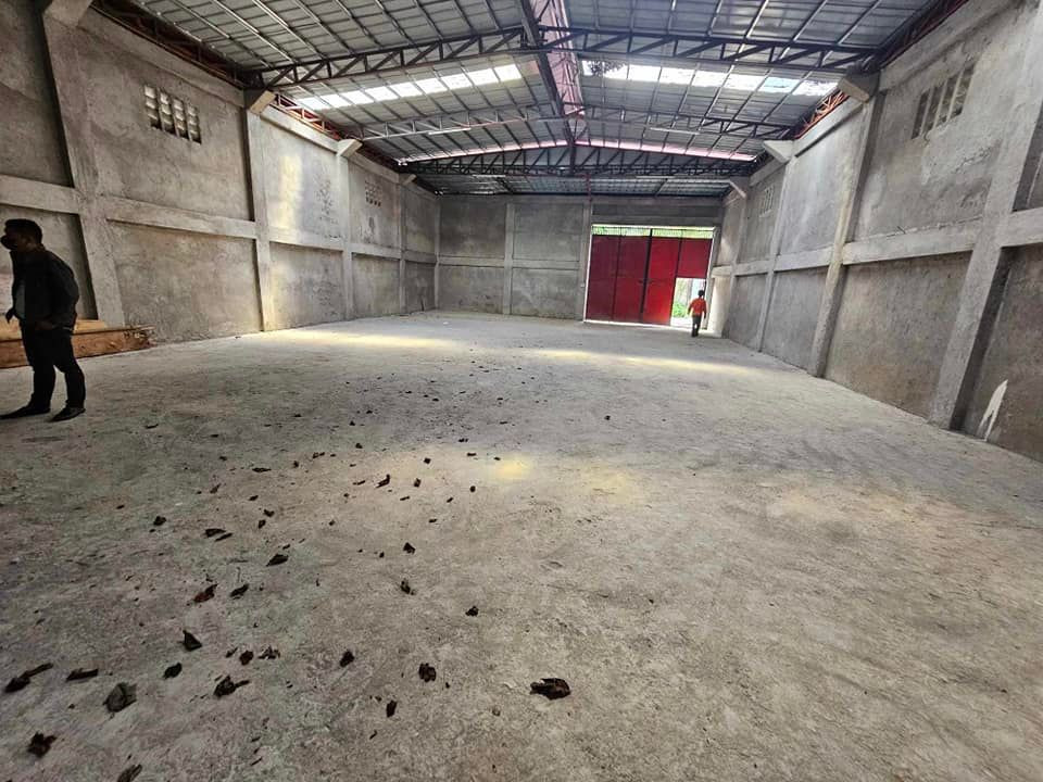 Gallery 3