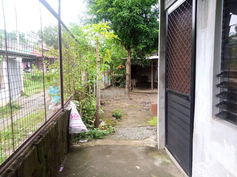 House for rent