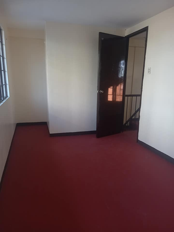 Gallery 5