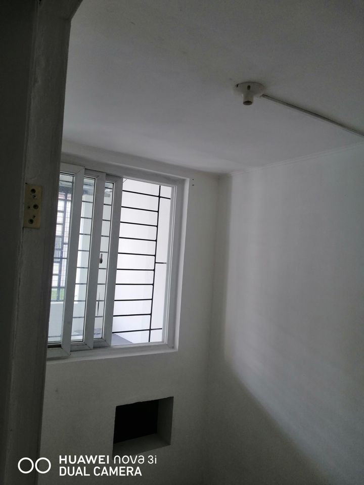 Gallery 5