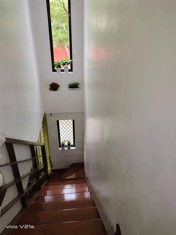 Gallery 5