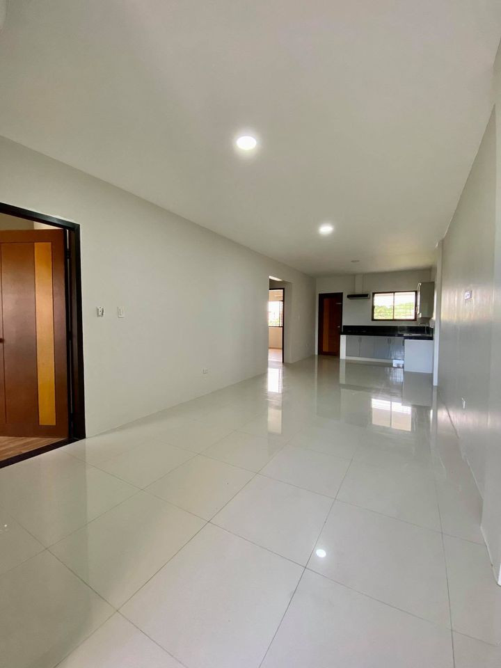Gallery 3