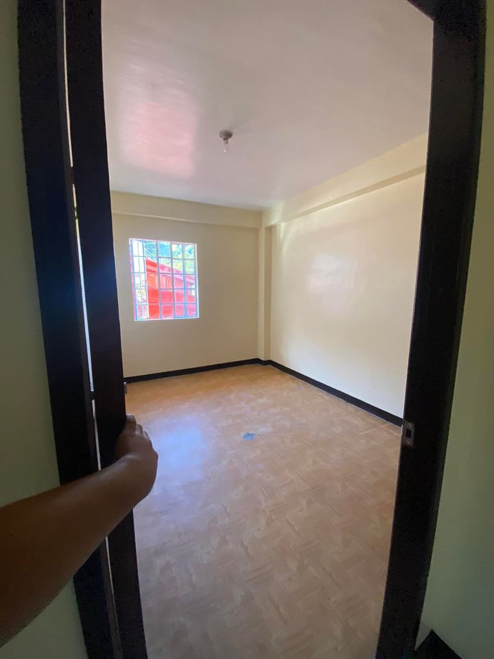 Gallery 5