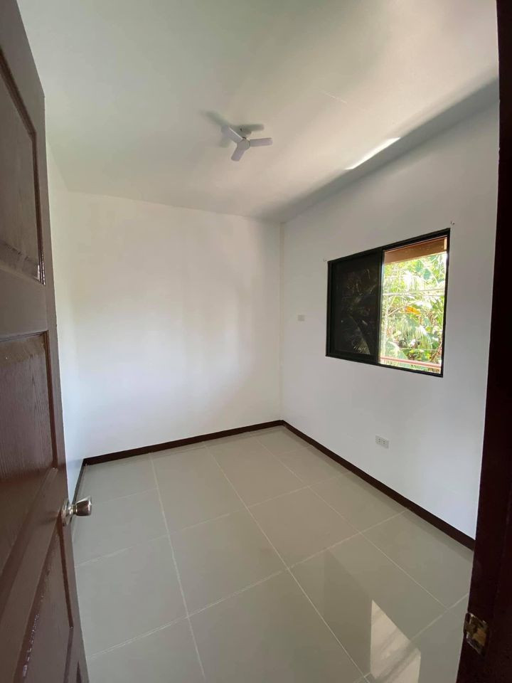 Gallery 4