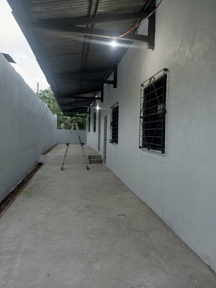 Gallery 2