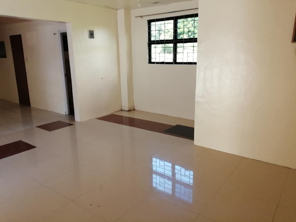 Gallery 5