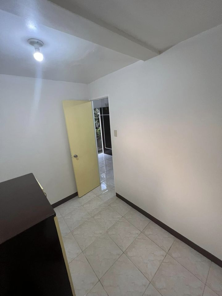 Gallery 5