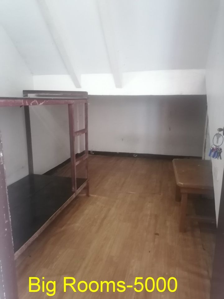 Gallery 5