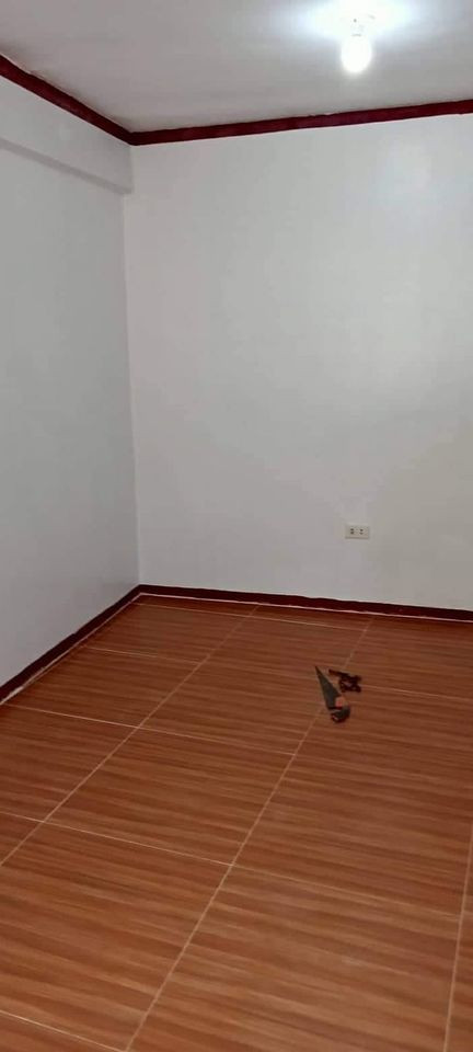 Gallery 2