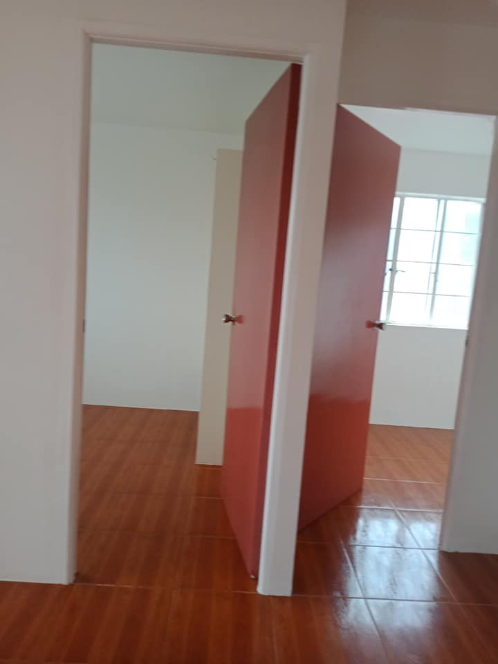 Gallery 3