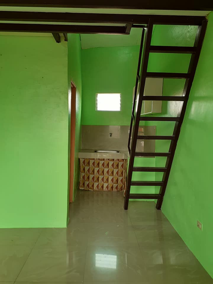 Gallery 3