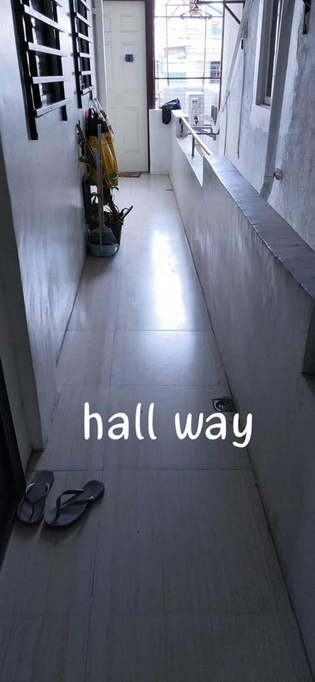 Gallery 5