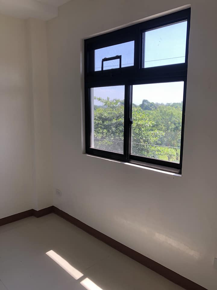 Gallery 5