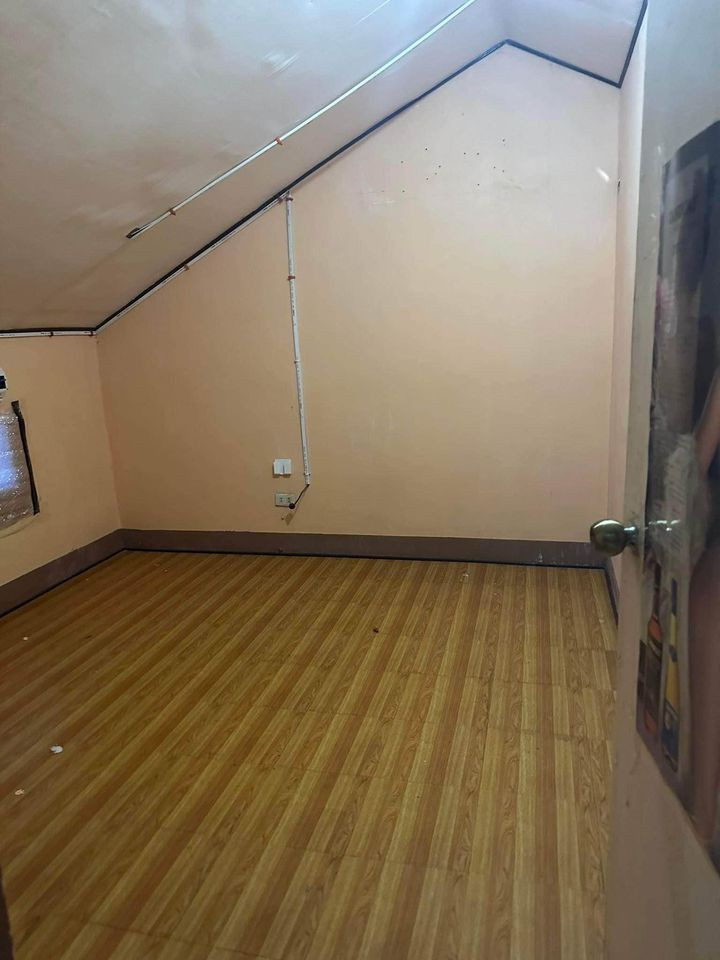 Gallery 5