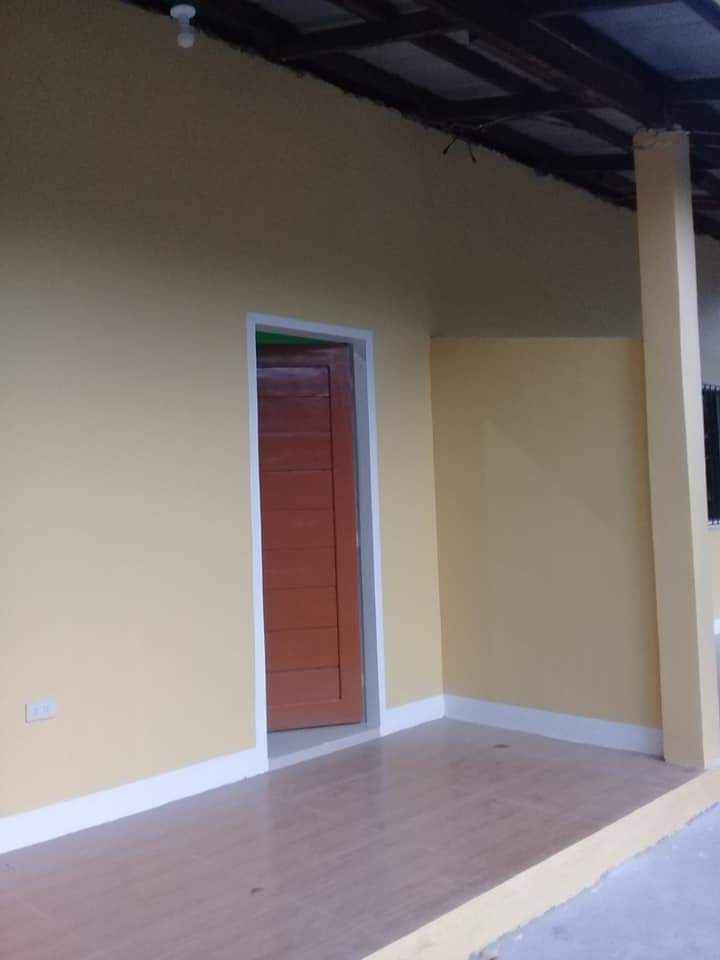 Gallery 3