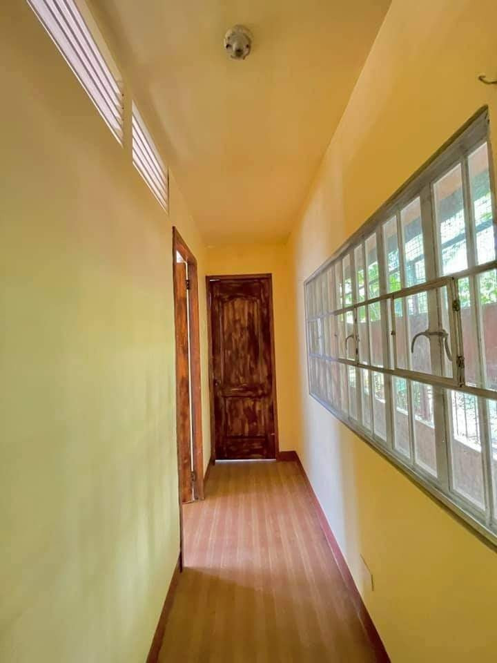 Gallery 5