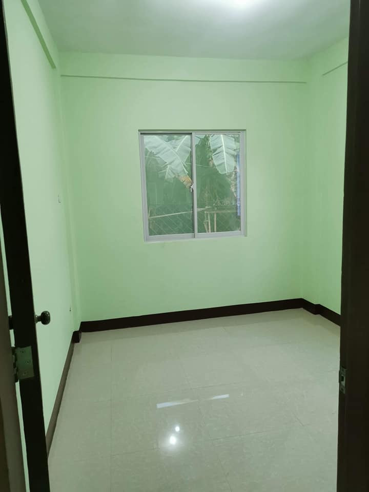 Gallery 5