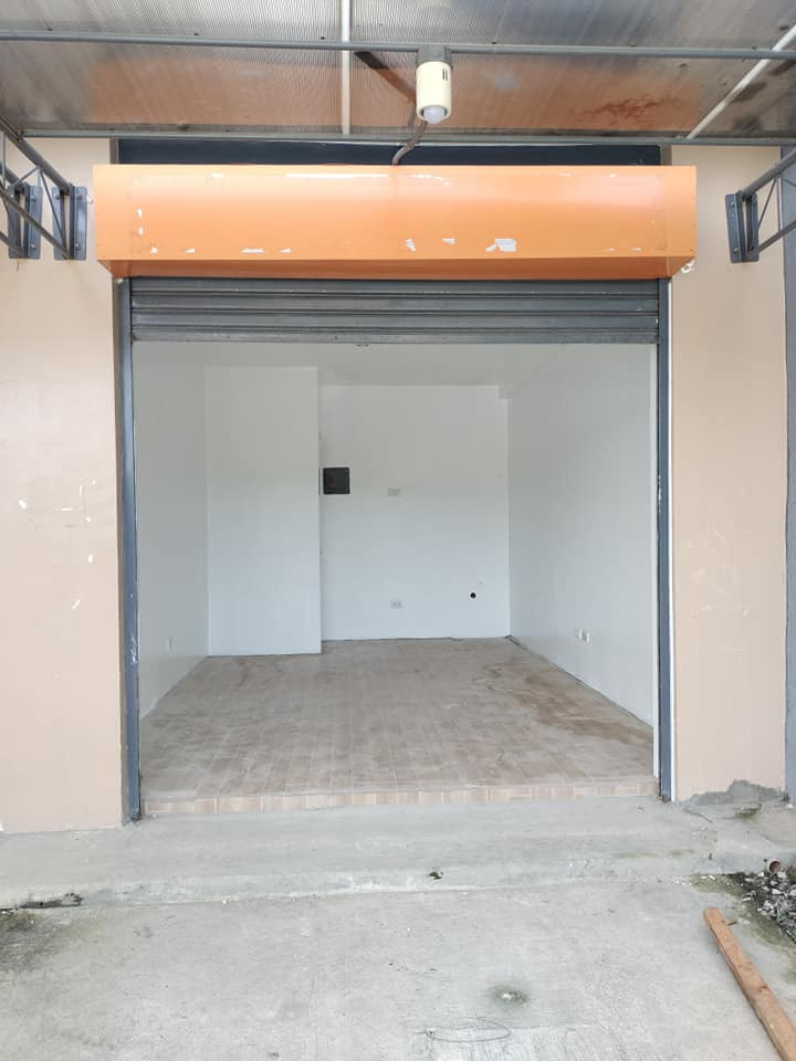 Gallery 4