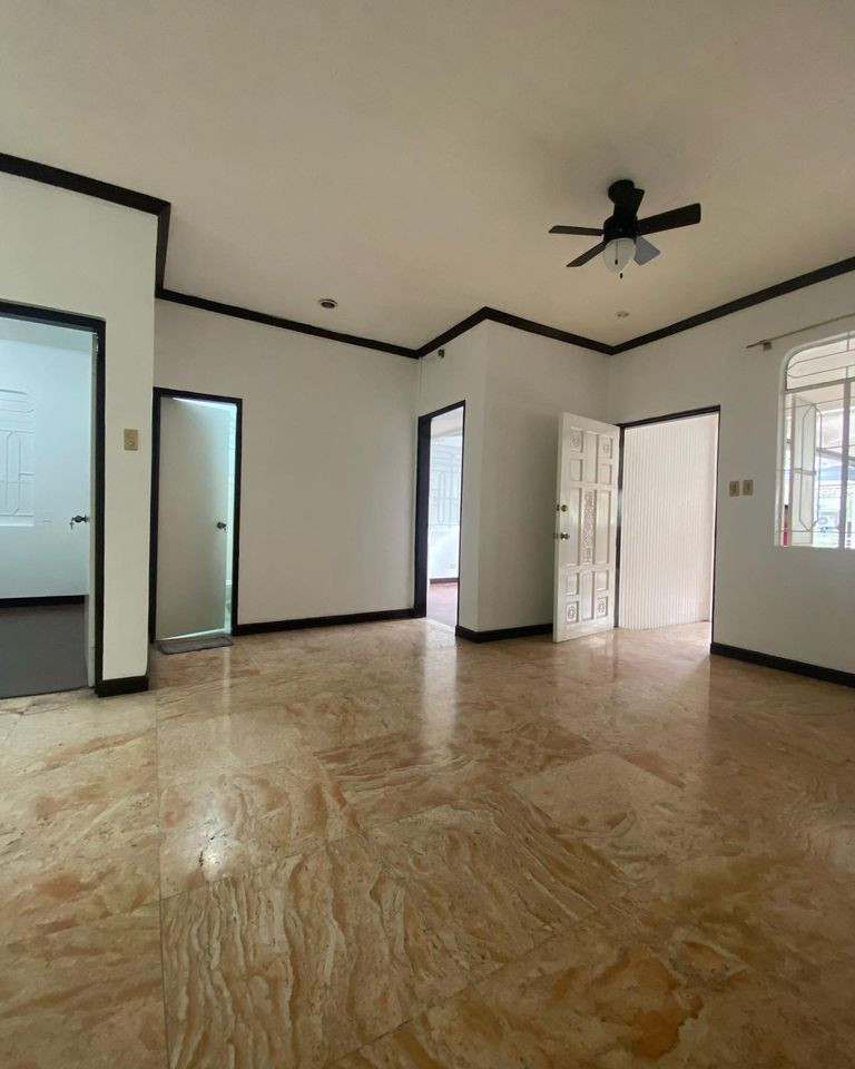 Gallery 5