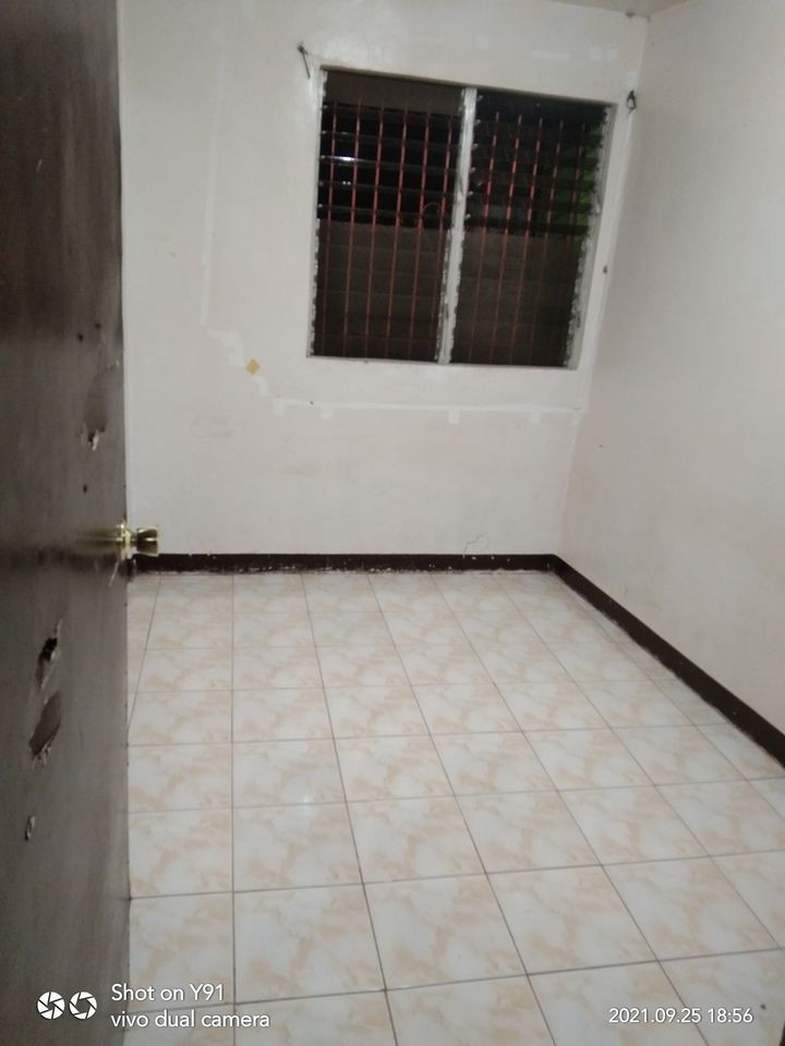 Gallery 2