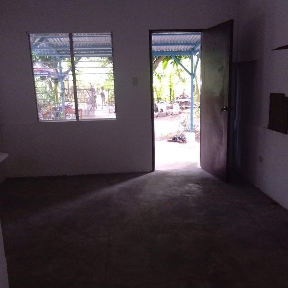 Gallery 3