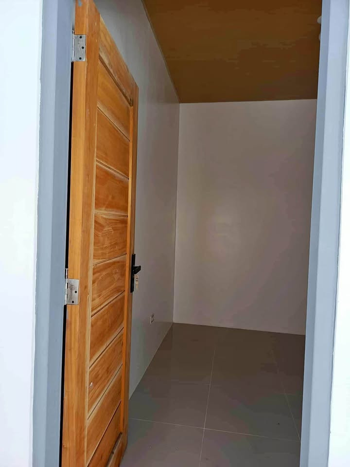 Gallery 3