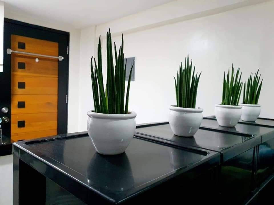 Gallery 3