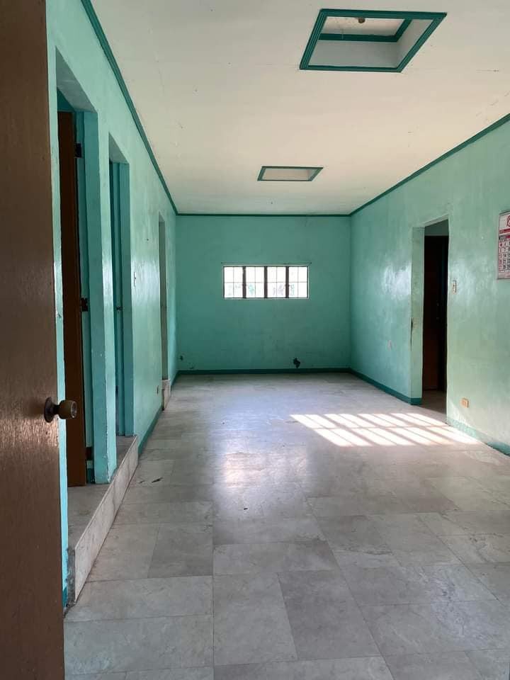 Gallery 5