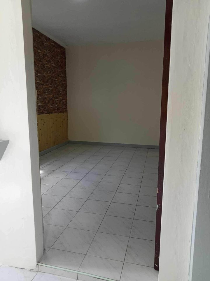 Gallery 3